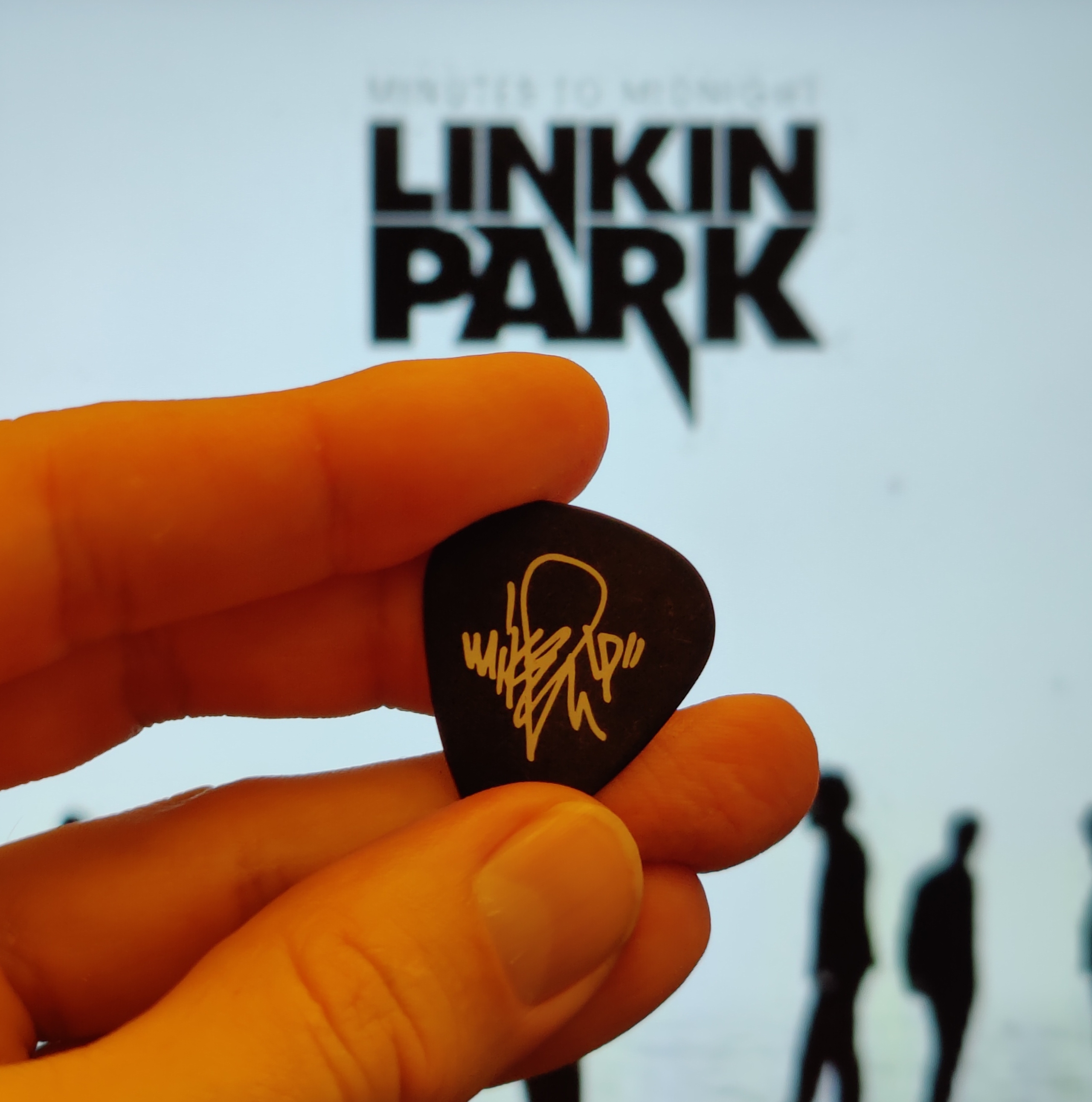 guitar pick in the hand